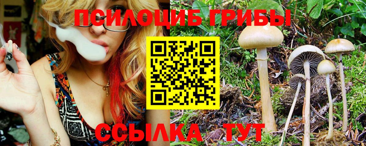 Галлюциногенные грибы ЛСД Гусиноозёрск